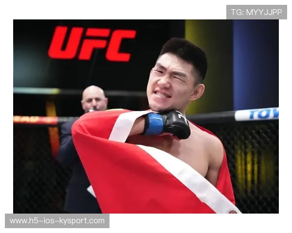 UFC冠军赛延期，对手签证问题致使比赛推迟，ufc2020年比赛时间表及地点