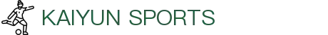 开云·体育(中国)官方网站-KAIYUN SPORTS