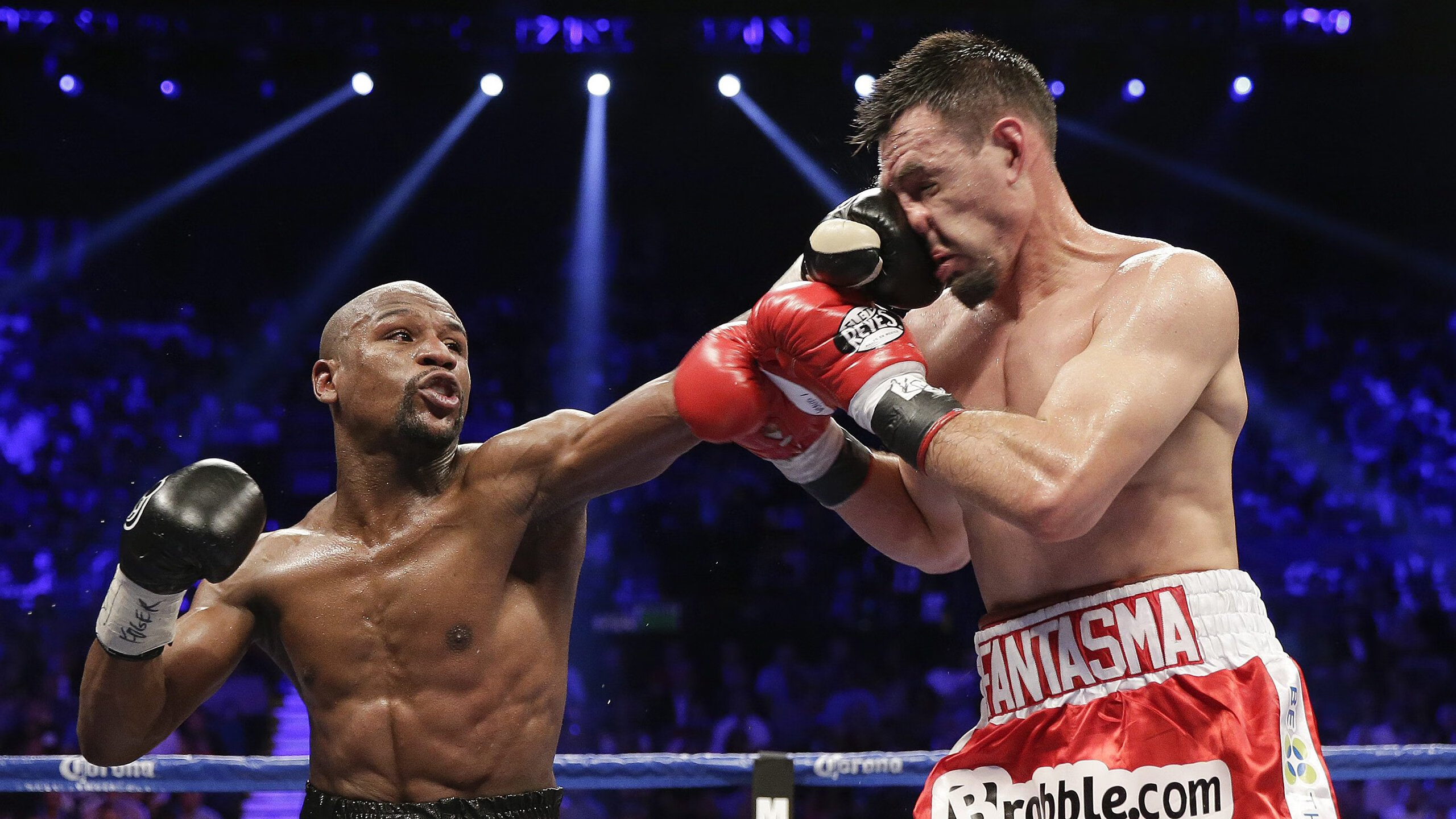 世界杯巅峰夜：精彩频出，引爆全场！，世界杯殿堂