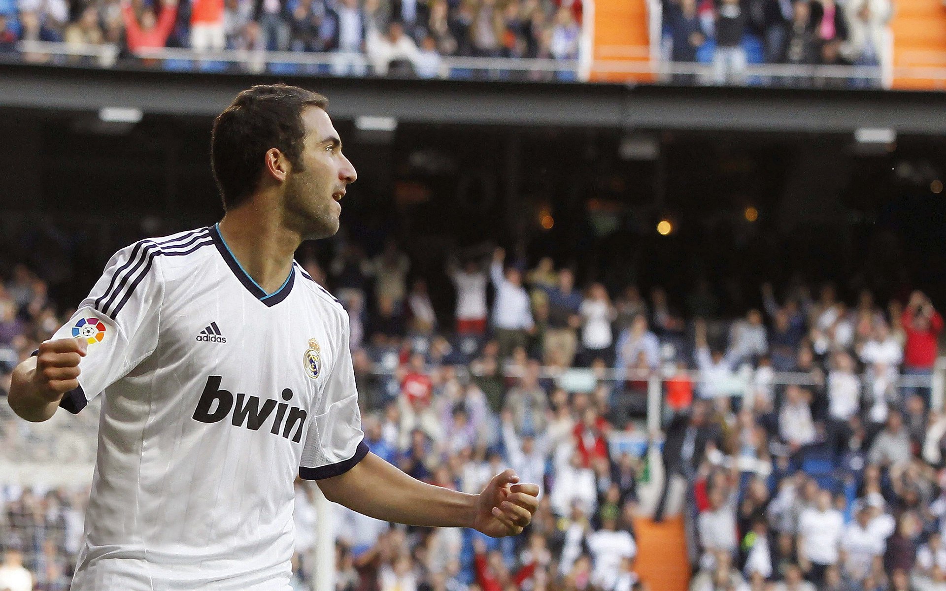 球迷期待海湾者创造冷门奇迹，海湾旅行者